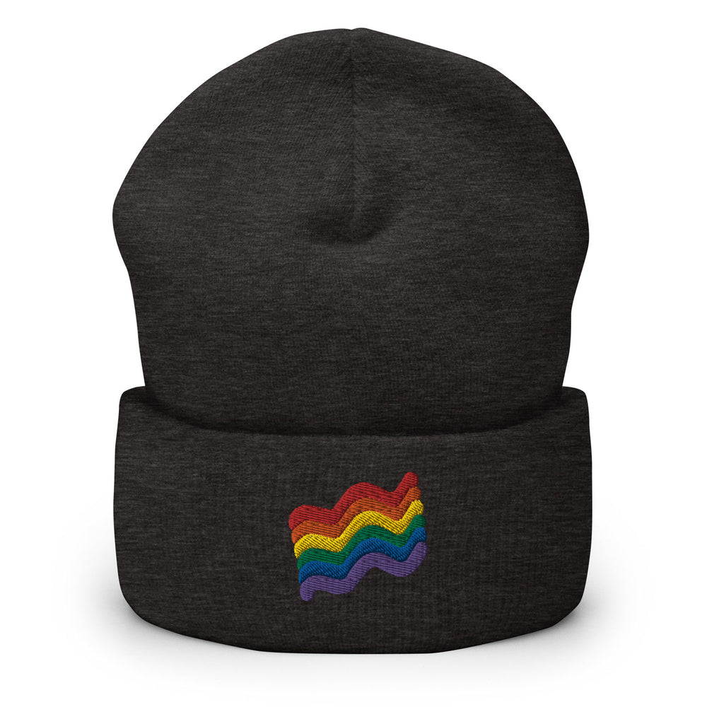 LGBTQ Squiggly Pride Cuffed Beanie - Bianca's Design Shop